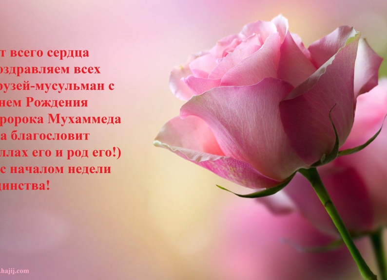 Мусульманские поздравления с днем рождения сестре