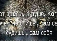Стихи про любовь до слез для девушки Стихи про любовь до слез для девушки