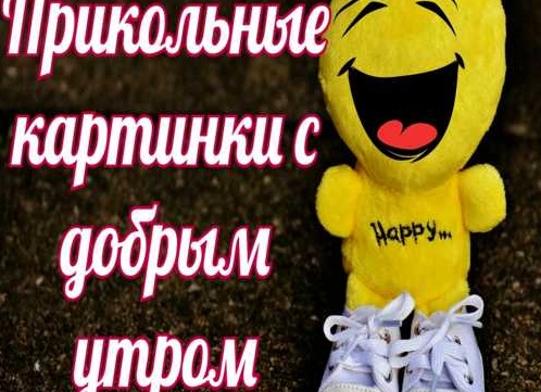 Прикольные Прикольные