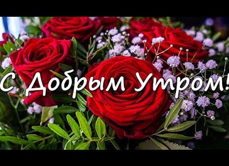 Музыкальные открытки с добрым утром Музыкальные открытки с добрым утром