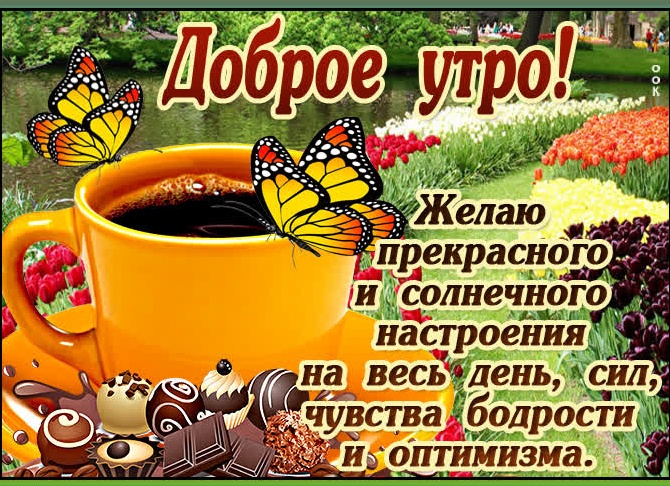 С добрым утром и хорошим днём пожелания своими словами С добрым утром и хорошим днём пожелания своими словами
