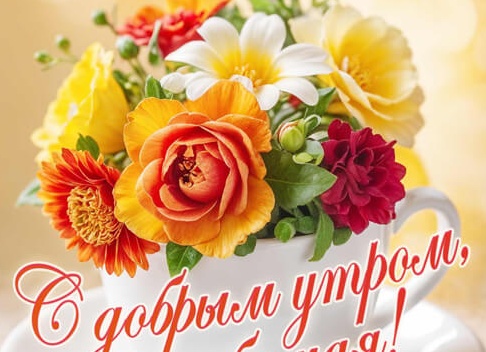 Пожелания с добрым утром любимой девушке своими словами до слез Пожелания с добрым утром любимой девушке своими словами до слез